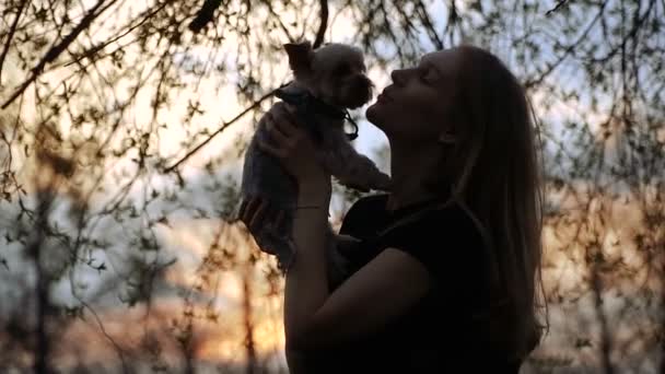 约克郡梗 女孩拥抱狗养殖约克郡梗 — 图库视频影像