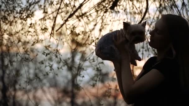 Jorkšírský Teriér Dívka Objímání Psa Plemene Yorkshire Terrier — Stock video