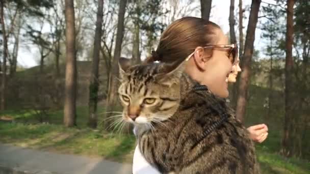Kočka Vodítku Dívka Chodí Kočkou Která Umístěna Rameni — Stock video