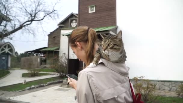 Handy Das Mädchen Macht Fotos Mit Dem Handy — Stockvideo