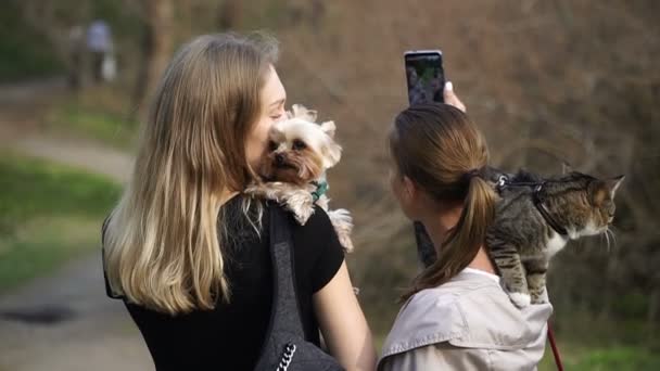 Selfy Une Fille Avec Chat Sur Épaule Prend Une Fille — Video