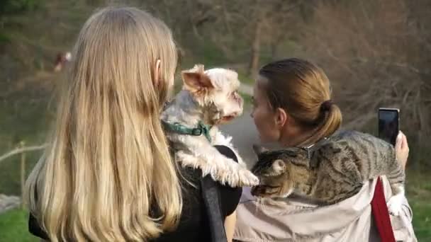 Selfy Girl Cat Her Shoulder Takes Girl Dog — Stock Video