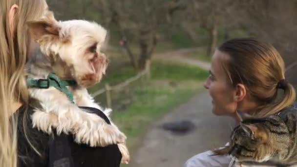 Selfy Een Meisje Met Een Kat Haar Schouder Neemt Een — Stockvideo