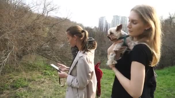 Selfy Uma Menina Com Gato Ombro Leva Uma Menina Cão — Vídeo de Stock