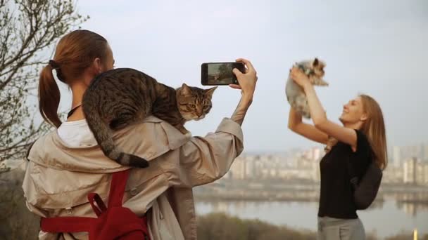 Selfy Una Chica Con Gato Hombro Toma Una Chica Perro — Vídeo de stock
