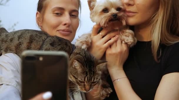 Selfy Girl Cat Her Shoulder Takes Girl Dog — Stock Video