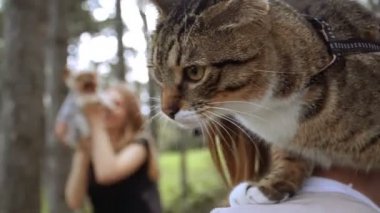Selfy. Bir kız ve bir köpek bir kız ile bir kedi omzuna alır