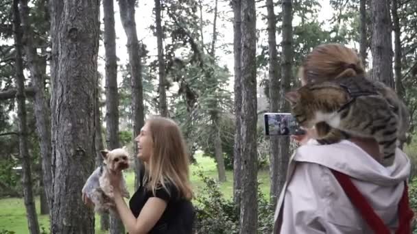 Selfy Una Chica Con Gato Hombro Toma Una Chica Perro — Vídeos de Stock