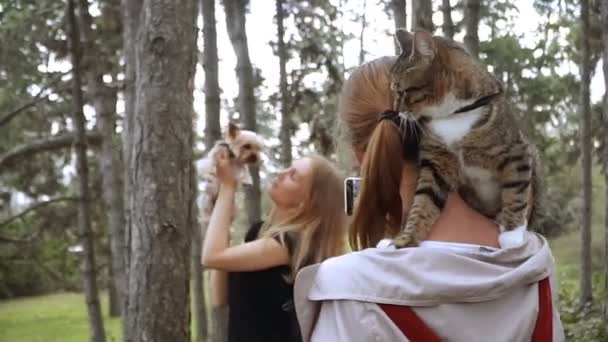 Selfy 一个女孩和一只猫在她的肩膀上需要一个女孩和一只狗 — 图库视频影像