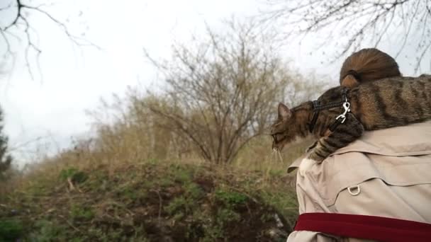 Taglio Rullo Ragazze Con Gatto Cane Passeggiano Nel Parco Sparano — Video Stock