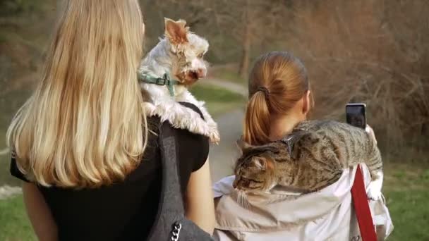 Cięcia Rolki Dziewczyny Kot Pies Spacer Parku Strzelają Siebie Telefon — Wideo stockowe
