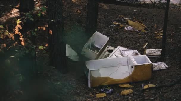 Çöp Ormanın Ortasına Atılmış Çöpler — Stok video