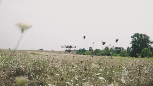 Kwadratowy Duży Quadrocopter Przelatuje Nad Polami Skanuje Terytorium — Wideo stockowe