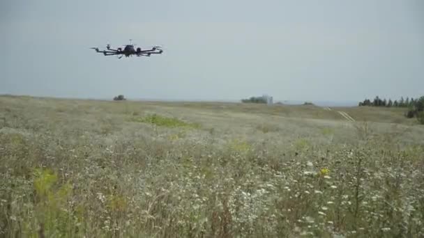 Τετρακόπτερο Ένα Μεγάλο Quadrocopter Πετάει Πάνω Από Πεδία Σαρώνει Την — Αρχείο Βίντεο