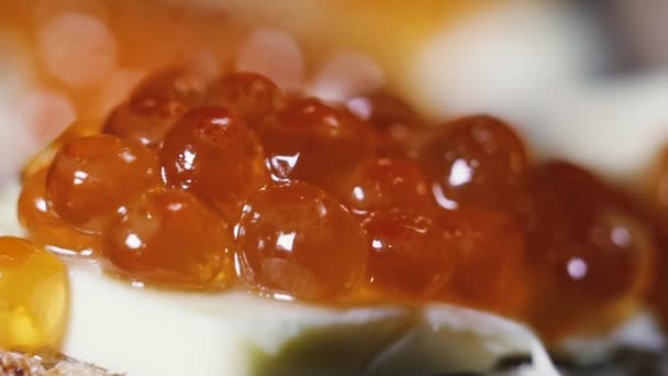 Red caviar. Red caviar spread on brown bread and butter. — Stock Footage Red Caviar Red Caviar Spread Brown Bread Butter Video Clip
