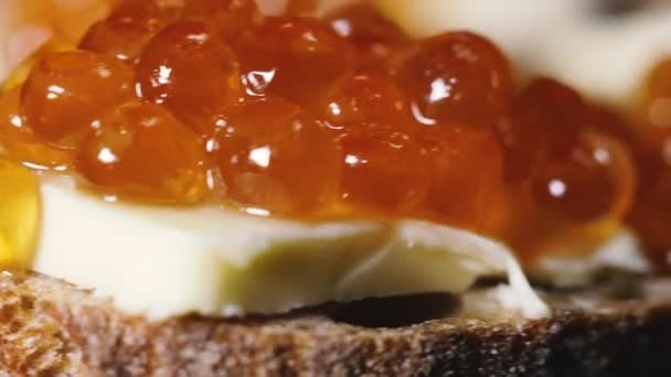 Red Caviar Red Caviar Spread Brown Bread Butter — Stockvideo