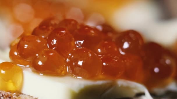 Red caviar. Red caviar spread on brown bread and butter. — Stock Footage Red Caviar Red Caviar Spread Brown Bread Butter Video Clip