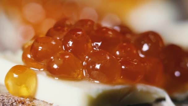 Red Caviar Red Caviar Spread Brown Bread Butter — Stock Video