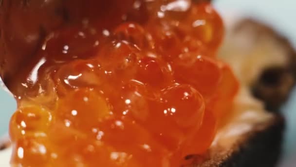 Red Caviar Red Caviar Spread Brown Bread Butter — Stock Video