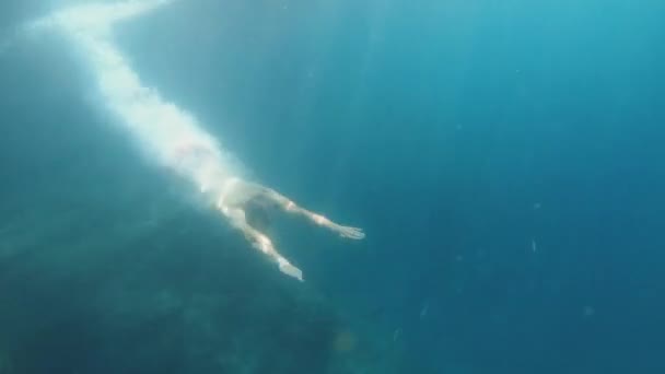 Mar Tipo Sumerge Desde Acantilado Mar Nada Bajo Agua — Vídeos de Stock