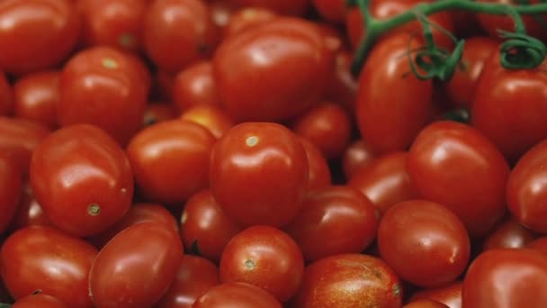 Pomidor Czerwone Pomidory Półkach — Wideo stockowe