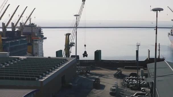 Sea Port Cranes Load Cargo Ship — 비디오