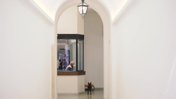 イタリア ローマ 2019年10月17日 住宅の入口にあるコンシェルジュと犬 — ストック動画