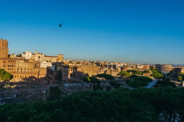 Kolezyum. Roma 'nın tarihi mimarisi.