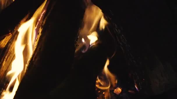 Lagerfeuer Kamin Brennt Ein Lagerfeuer — Stockvideo