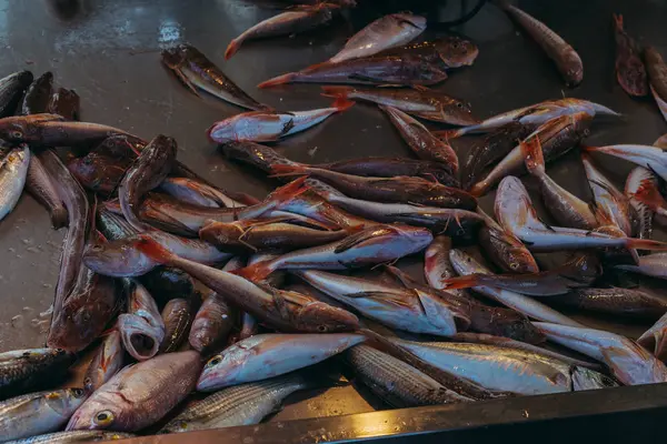Морепродукты. Рынок с живой морской рыбой . — стоковое фото