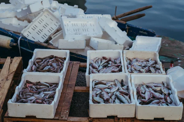 Морепродукты. Рынок с живой морской рыбой . — стоковое фото