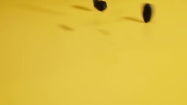 Sunflower seeds. Seeds fall slowly on a yellow background.