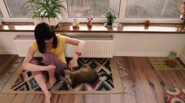 Apartment. The girl is played in the apartment with a cat.