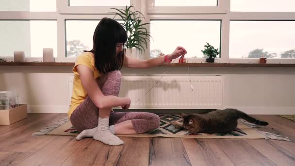 Mieszkanie Dziewczyna Jest Bawiona Mieszkaniu Kotem — Wideo stockowe