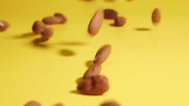 Nut Walnut Almond Drops Yellow Background — Stok video