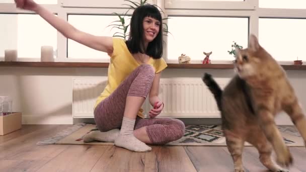 Mieszkanie Dziewczyna Jest Bawiona Mieszkaniu Kotem — Wideo stockowe