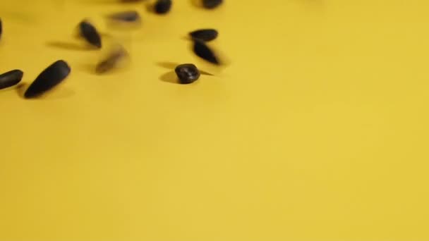 Sonnenblumenkerne Samen Fallen Langsam Auf Gelbem Hintergrund — Stockvideo