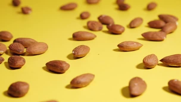 Nut Walnut Almond Drops Yellow Background — Stok video