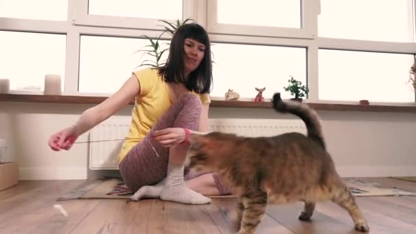 Διαμέρισμα Κορίτσι Παίζεται Στο Διαμέρισμα Μια Γάτα — Αρχείο Βίντεο