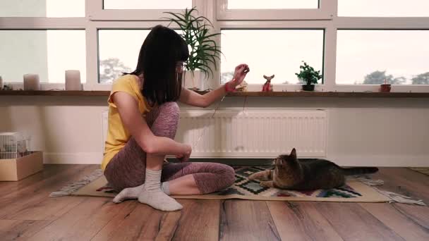 Apartment Girl Played Apartment Cat — ストック動画