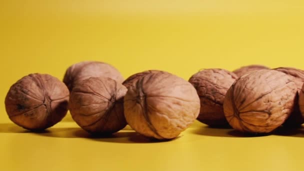 Noyer. Les noix reposent sur un fond jaune .