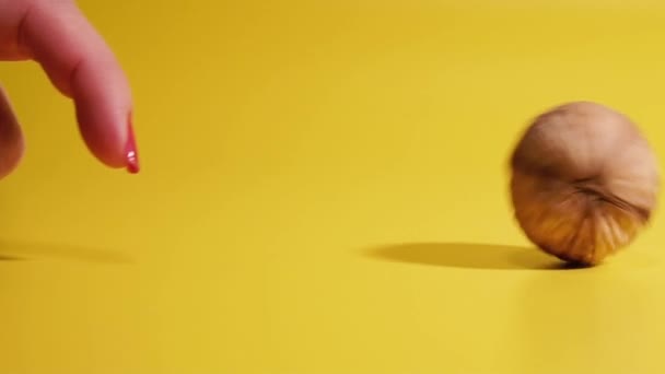 Noyer. Une noix roule sous la poussée d'une main .