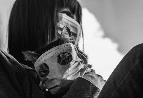 Virussen Kvinde Sidder Med Kat Beskyttende Gaze Maske Fra Virus - Stock-foto