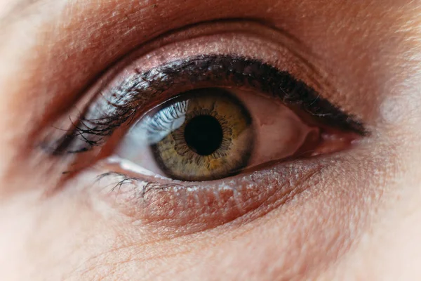 Глаз Снимок Крупным Планом Женского Глаза — стоковое фото