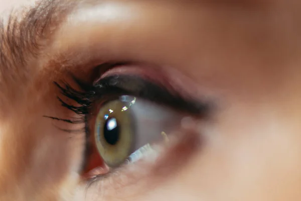 Глаз Снимок Крупным Планом Женского Глаза — стоковое фото