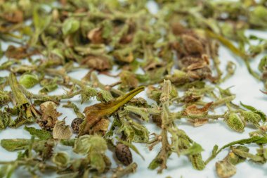 Esrar. Kurutulmuş marihuana otu. Uyuşturucu..