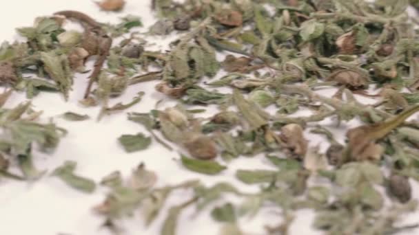 Cannabis Torkad Marijuana Ört Läkemedel — Stockvideo