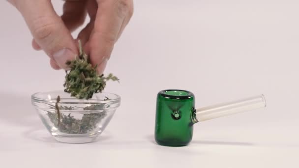 Cannabis Hand Takes Marijuana Puts Smoking Pipe — Stock Video