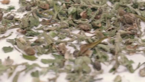 Cannabis Hierba Seca Marihuana Droga — Vídeos de Stock