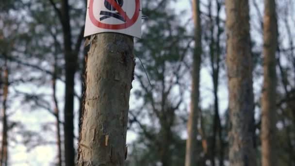 Firma Una Señal Árbol Haciendo Hogueras Está Prohibida — Vídeo de stock